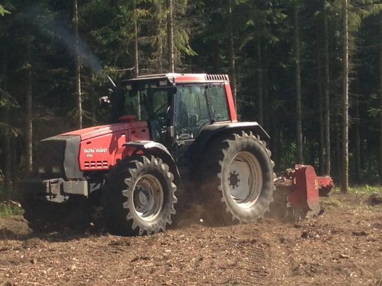 Traktor igang med udtydning af skov